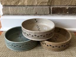 Dog Bowl